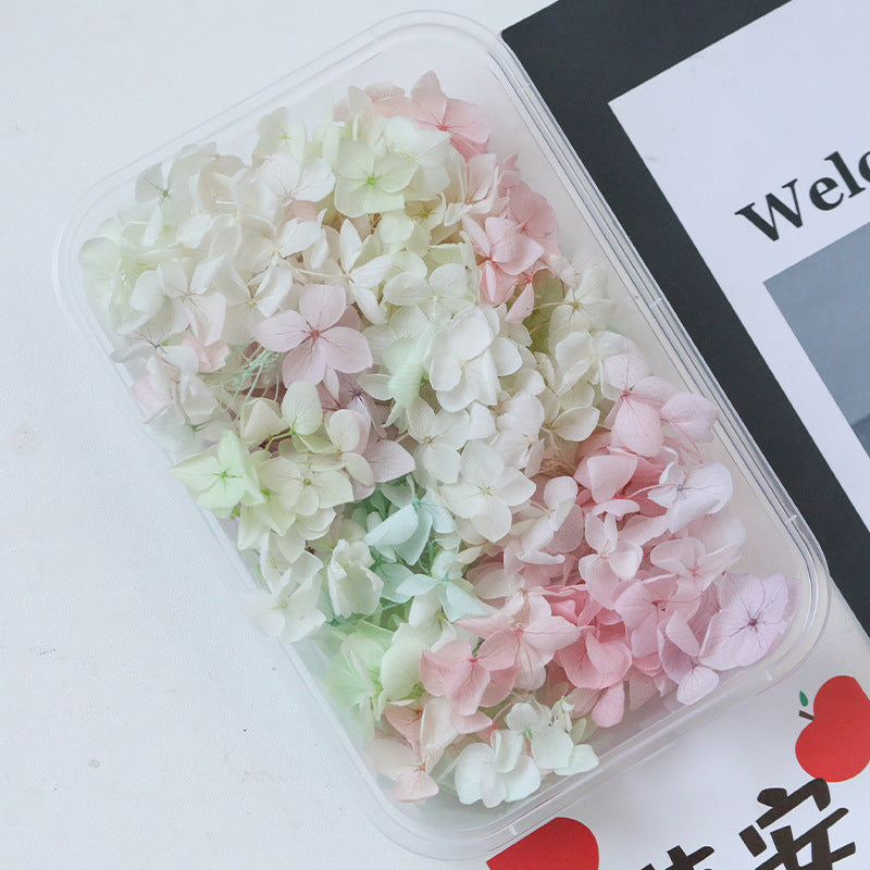 Wholesale Dried Flowers Immortal Flowers Hydrangea Gradient Color Handmade Diy Filling Materials