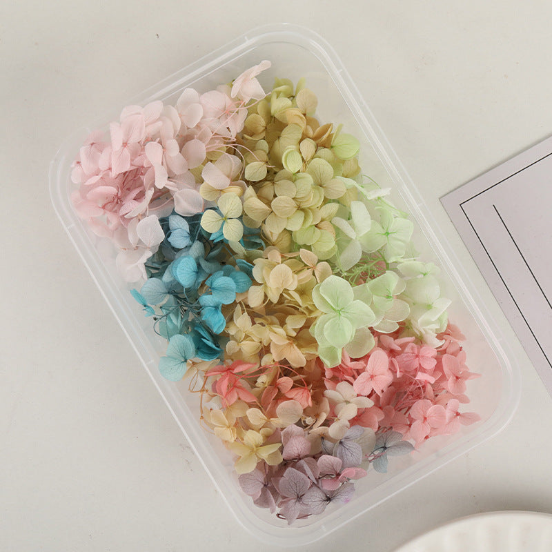 Wholesale Dried Flowers Immortal Flowers Hydrangea Gradient Color Handmade Diy Filling Materials
