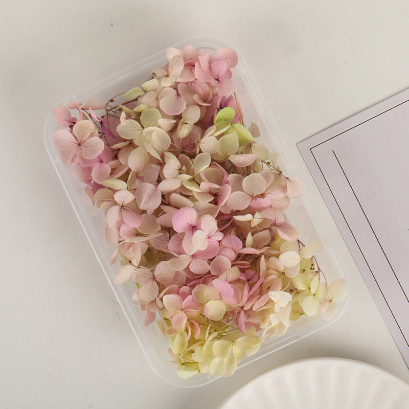 Wholesale Dried Flowers Immortal Flowers Hydrangea Gradient Color Handmade Diy Filling Materials