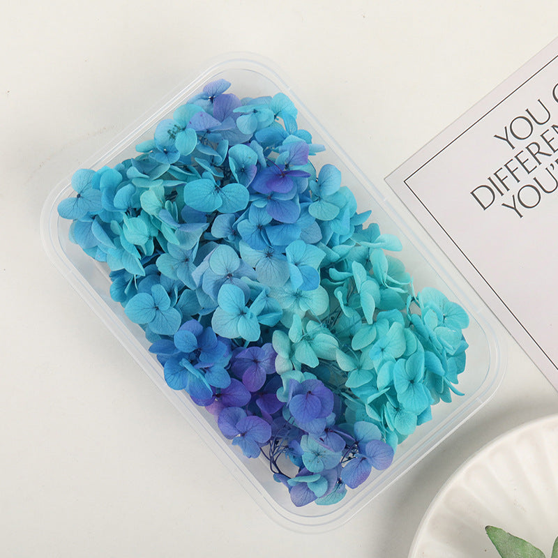Wholesale Dried Flowers Immortal Flowers Hydrangea Gradient Color Handmade Diy Filling Materials