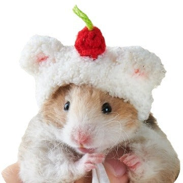 Wholesale plush cute small hat photography props handmade crocheted pet wool hat Winter Mini
