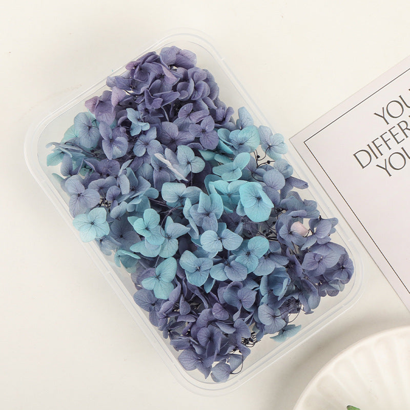 Wholesale Dried Flowers Immortal Flowers Hydrangea Gradient Color Handmade Diy Filling Materials