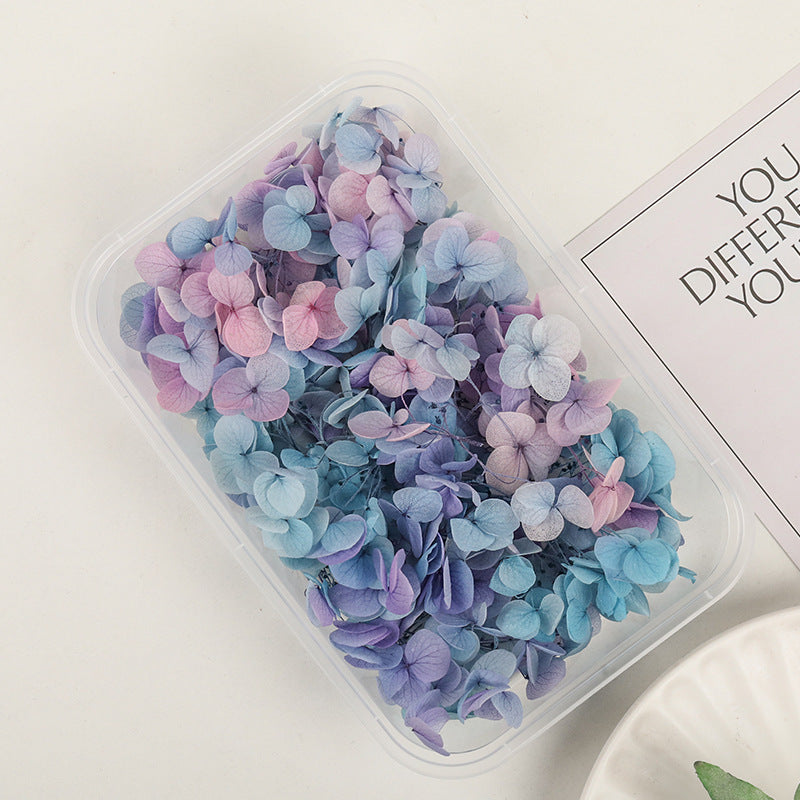 Wholesale Dried Flowers Immortal Flowers Hydrangea Gradient Color Handmade Diy Filling Materials
