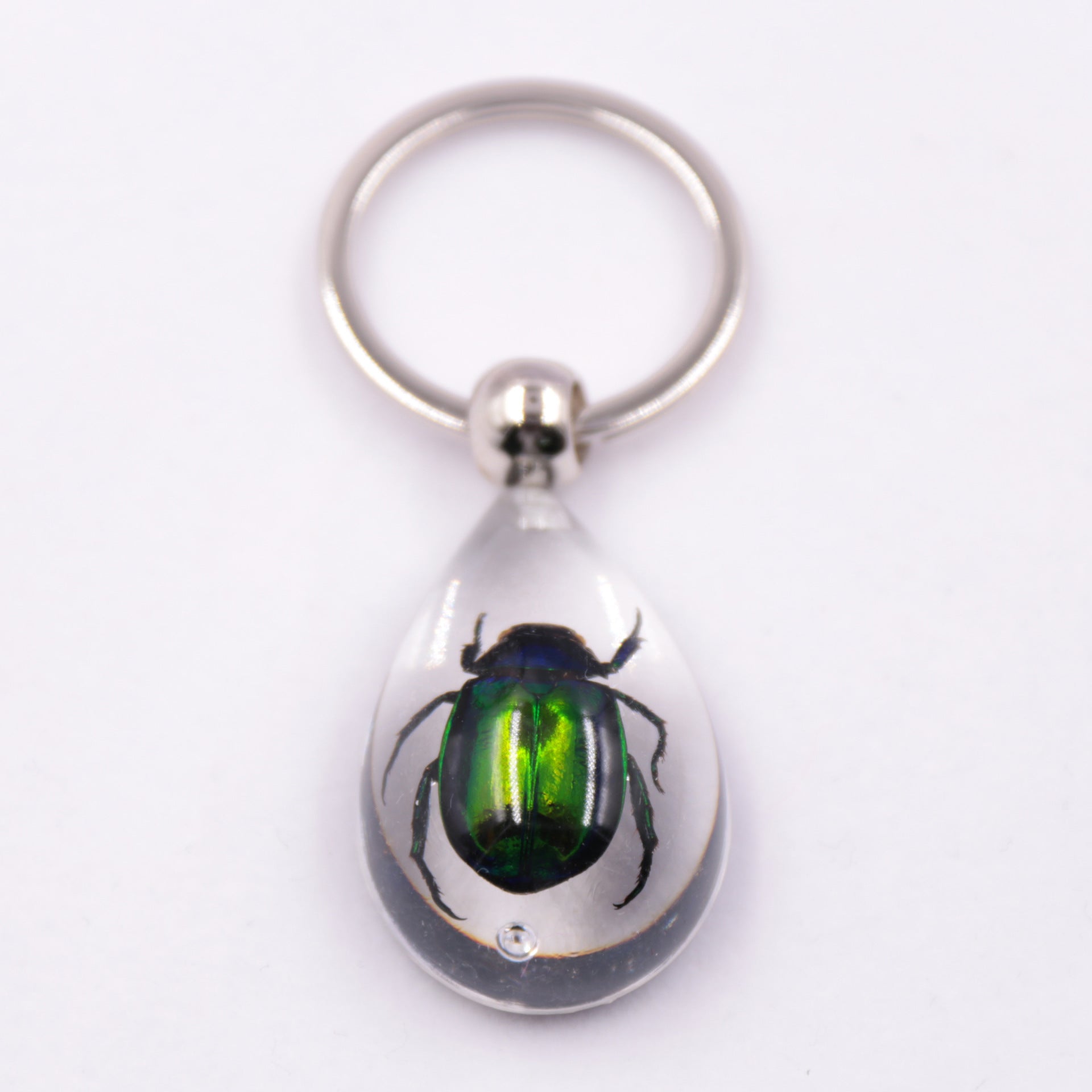 Wholesale 6pcs/pack Clear Amber Insect Specimen Keychain