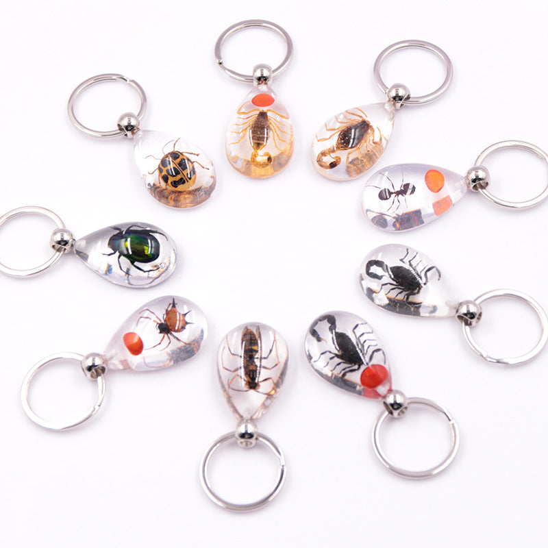Wholesale 6pcs/pack Clear Amber Insect Specimen Keychain