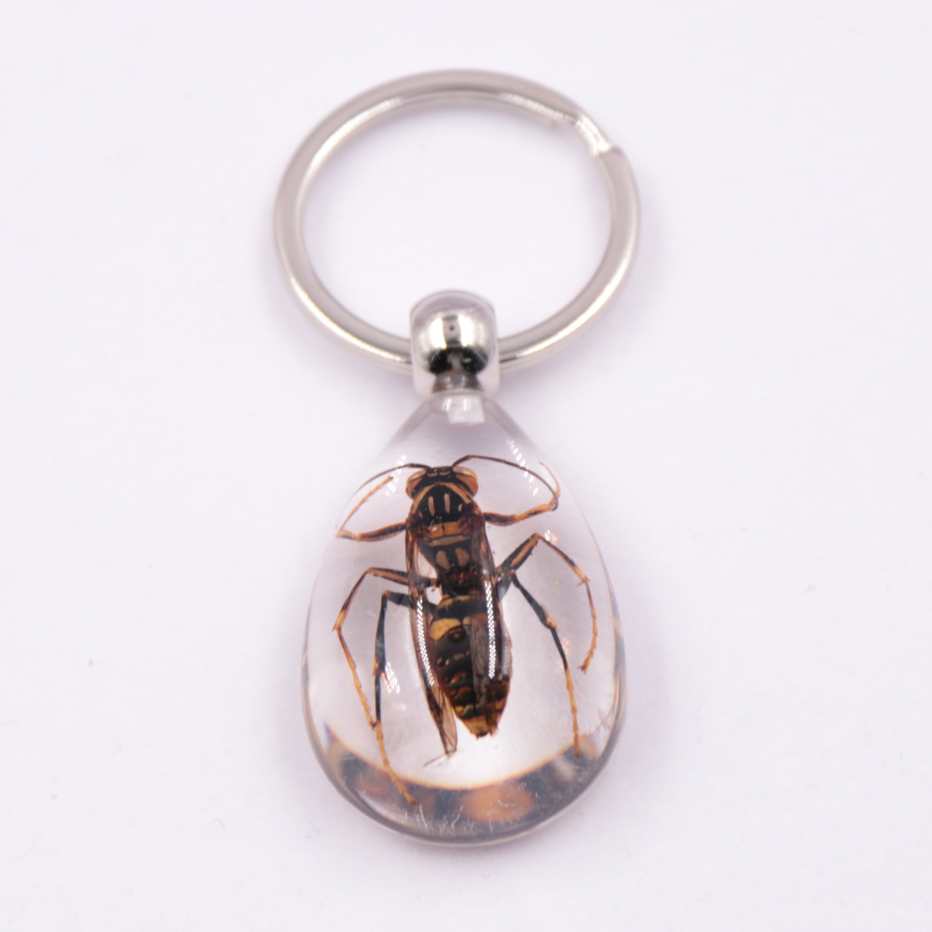 Wholesale 6pcs/pack Clear Amber Insect Specimen Keychain