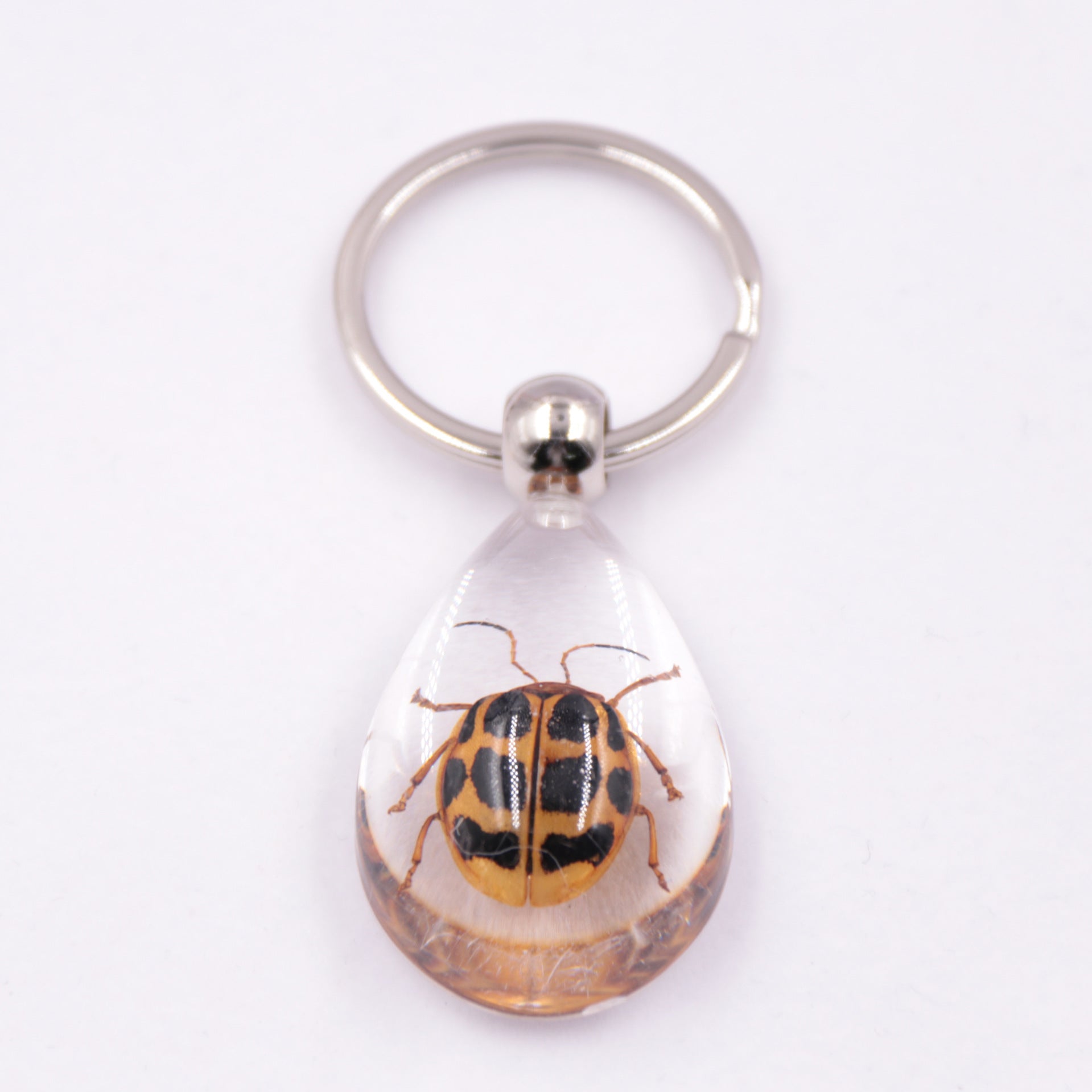 Wholesale 6pcs/pack Clear Amber Insect Specimen Keychain