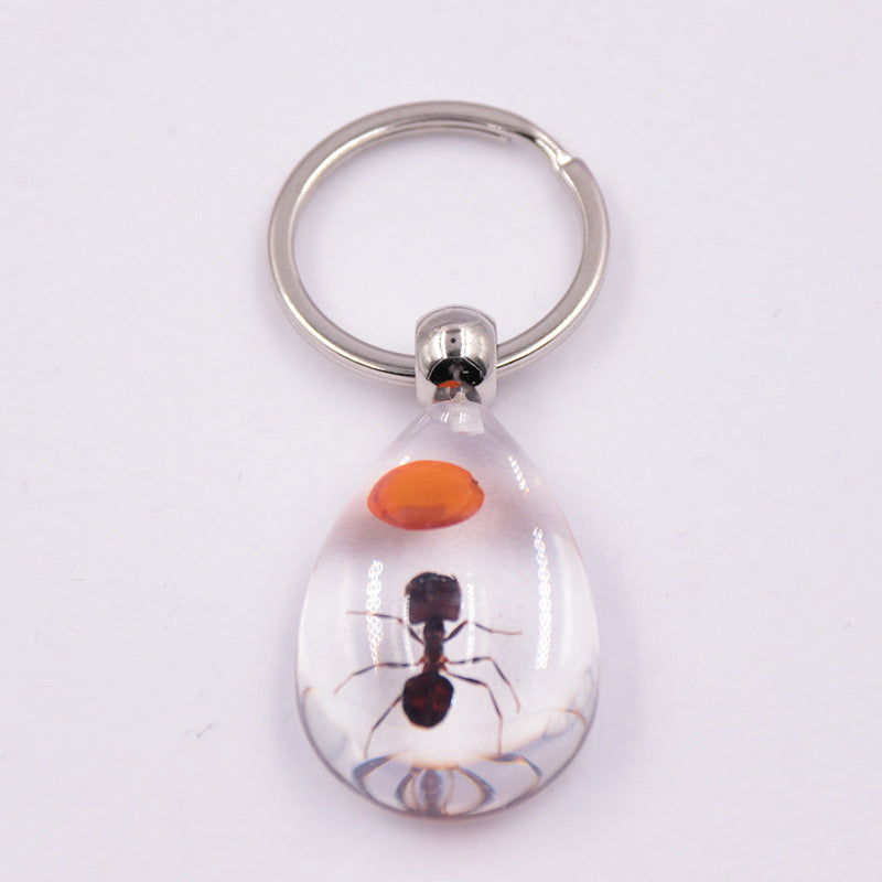 Wholesale 6pcs/pack Clear Amber Insect Specimen Keychain