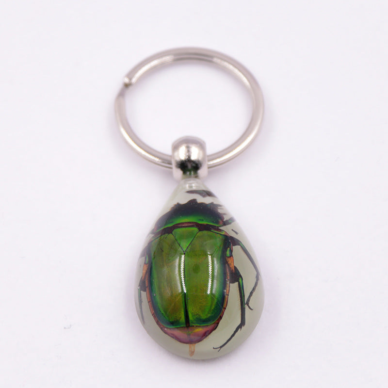 Wholesale 6pcs/pack Clear Amber Insect Specimen Keychain
