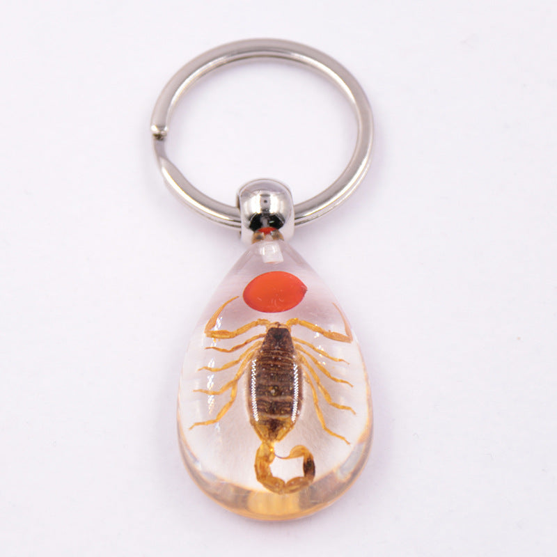 Wholesale 6pcs/pack Clear Amber Insect Specimen Keychain