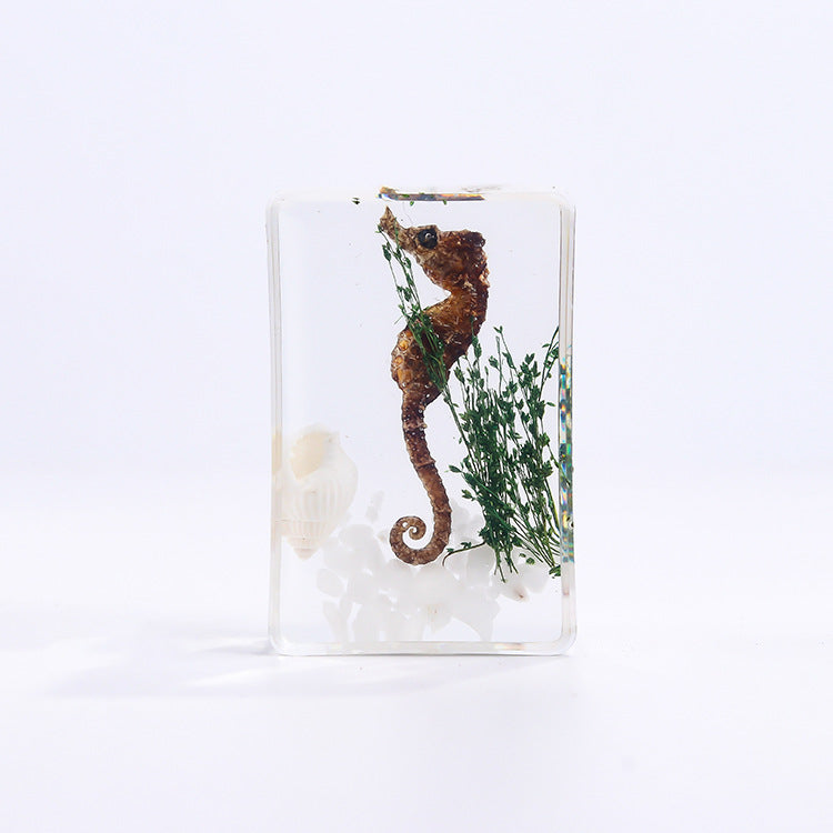 Wholesale 6pcs/pack Handmade Epoxy Resin Insect Specimens