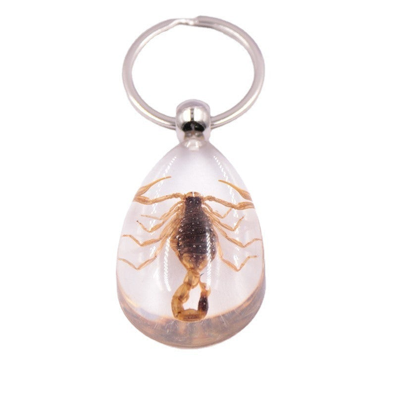 Wholesale 6pcs Resin Insect Specimen Transparent Glue Keychain