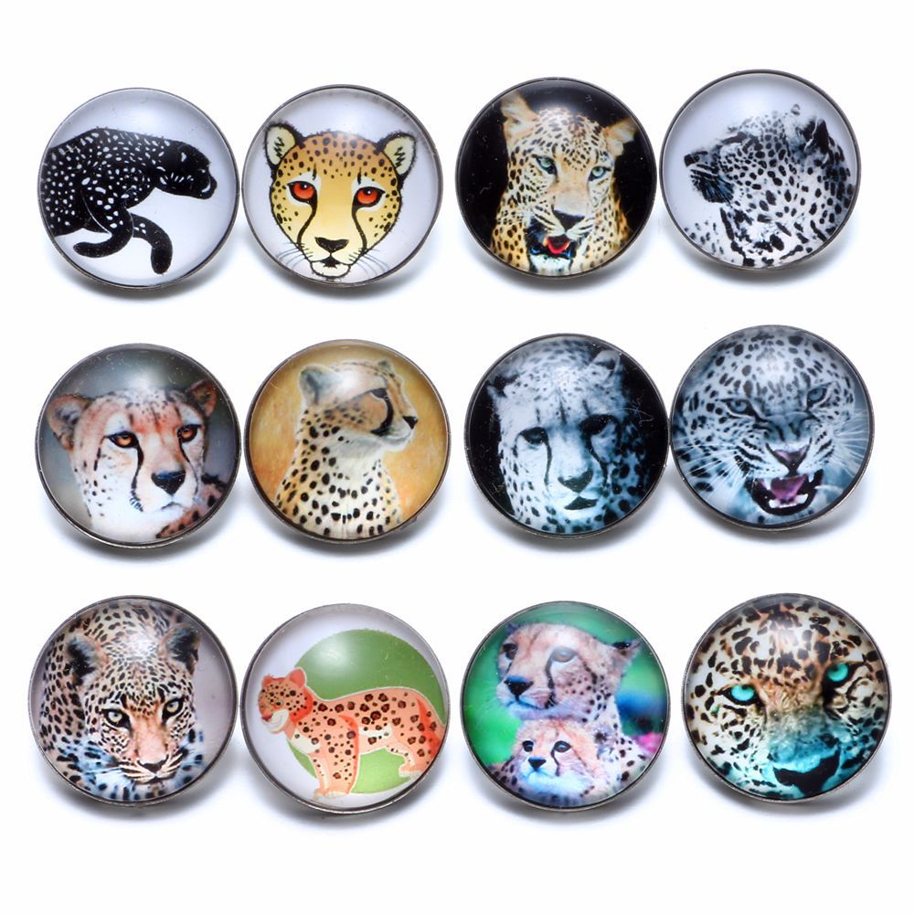 Wholesale 10pcs Alloy 18MM Glass Buttons Dutch Buttons