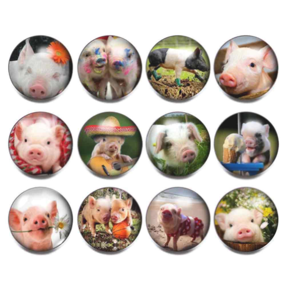 Wholesale 10pcs Alloy 18MM Glass Buttons Dutch Buttons