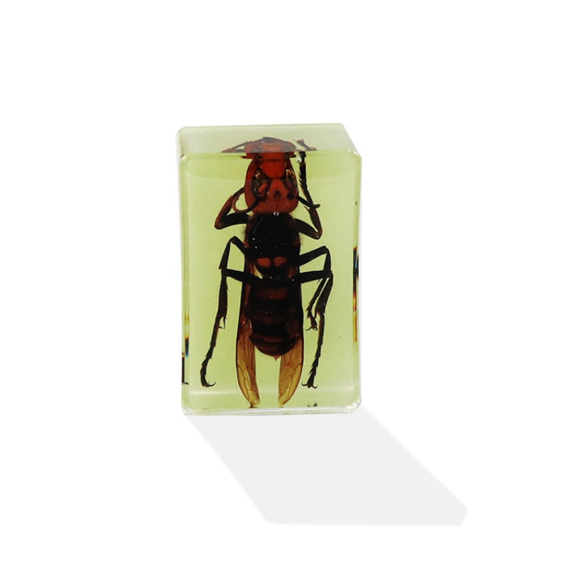 Wholesale 12pcs Luminous Real Insect Scorpion Desktop Resin Ornaments