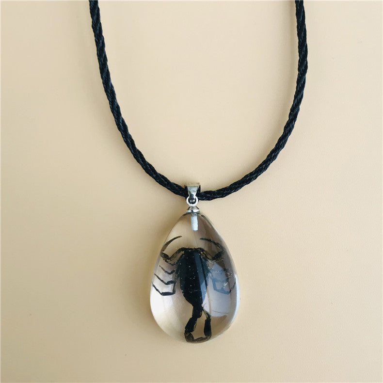 Wholesale 6pcs Real Insect Specimen Necklace