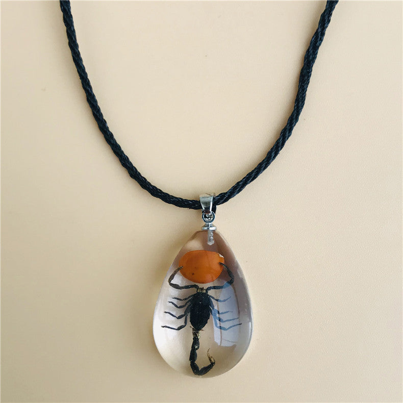 Wholesale 6pcs Real Insect Specimen Necklace