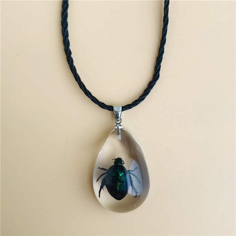 Wholesale 6pcs Real Insect Specimen Necklace