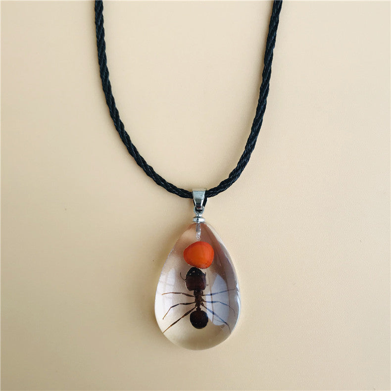 Wholesale 6pcs Real Insect Specimen Necklace