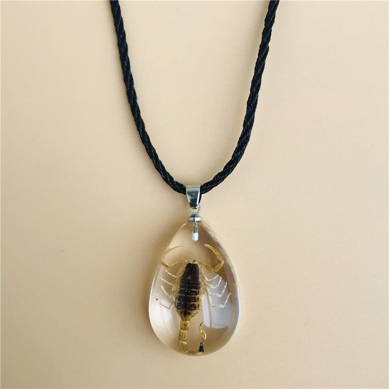 Wholesale 6pcs Real Insect Specimen Necklace