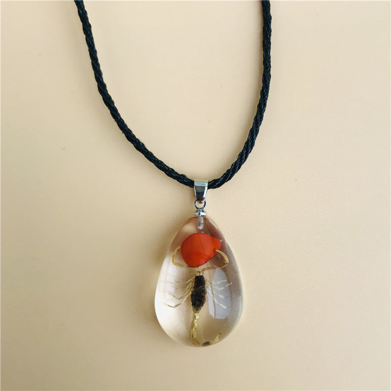 Wholesale 6pcs Real Insect Specimen Necklace