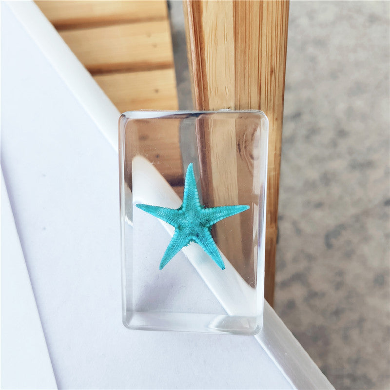 Wholesale 12pcs Epoxy Starfish Specimen Hot Sale Resin Crafts Ornaments