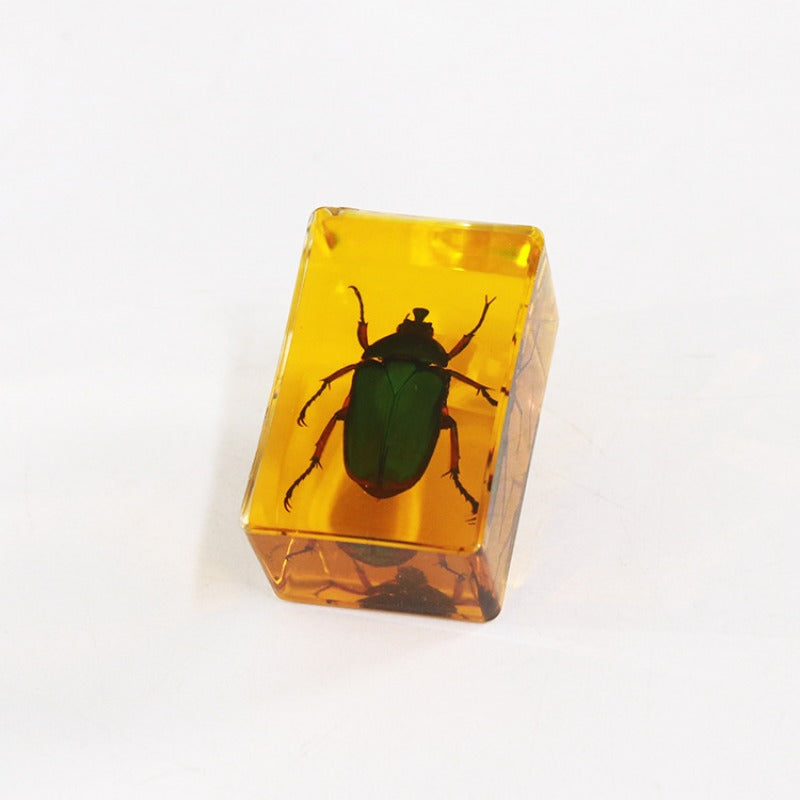 Wholesale 12pcs Real Insect Scorpion Resin HD Transparent Craft Ornaments
