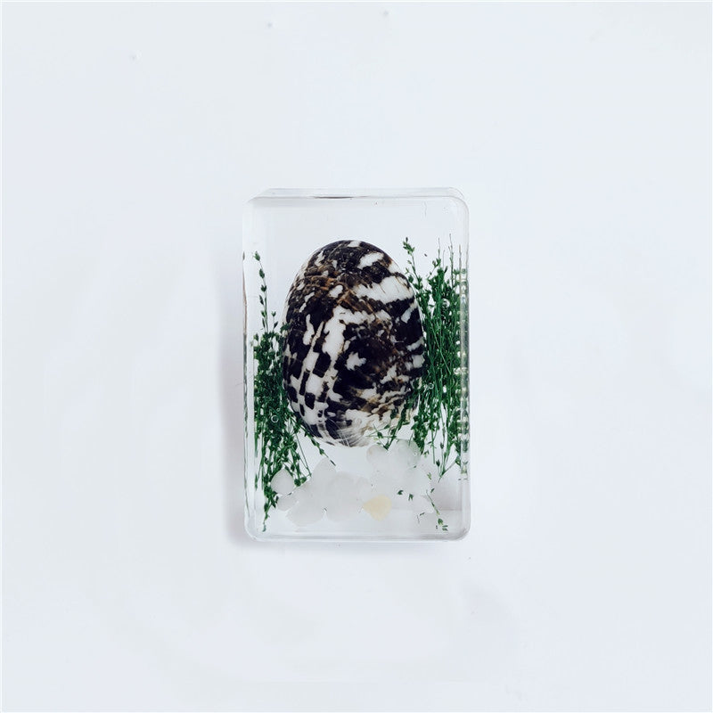 Wholesale 6pcs Creative Resin Crafts Conch Ornaments