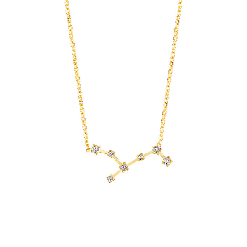 Wholesale of Twelve Constellations with Diamond Necklace Stainless Steel Collarbone Chain