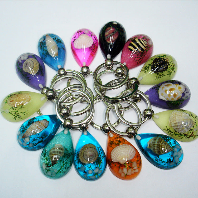 Wholesale 6pcs Real Starfish Conch Specimen Keychain