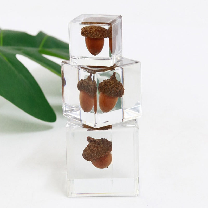 Wholesale 6pcs Acorn Paperweight Desktop Crafts Ornaments