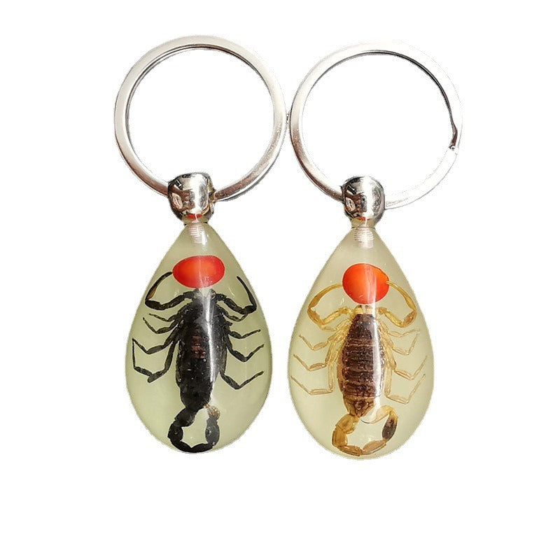 Wholesale 6pcs Real Insect Glue Resin Specimen Keychain