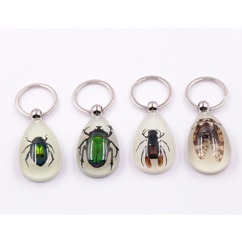 Wholesale 6pcs Luminous Insects Epoxy Resin Keychain