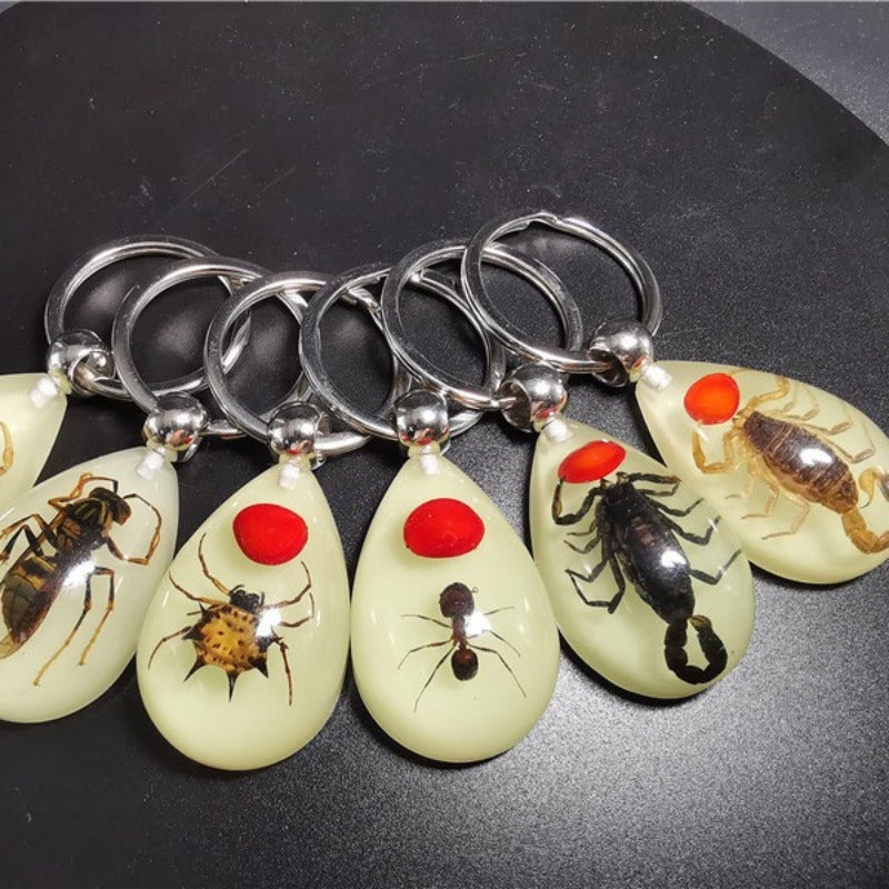 Wholesale 6pcs Real Insect Glue Resin Specimen Keychain