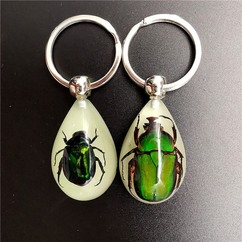 Wholesale 6pcs Real Insect Glue Resin Specimen Keychain