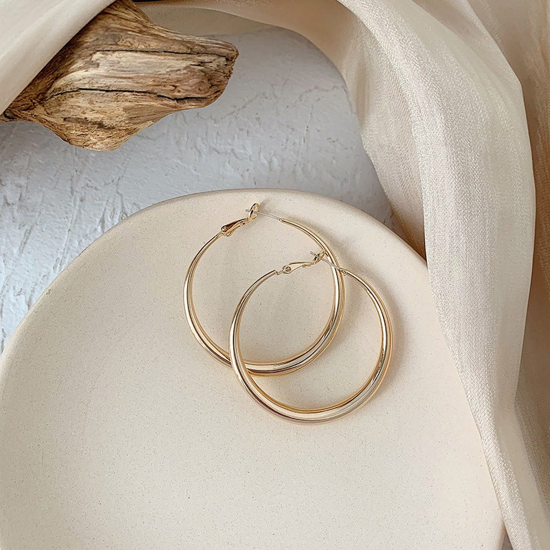 Wholesale Exaggerated Large Hoop 925 Silver Needle Earrings