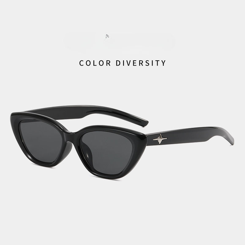 Wholesale Triangle Cat Eye PC Sunglasses