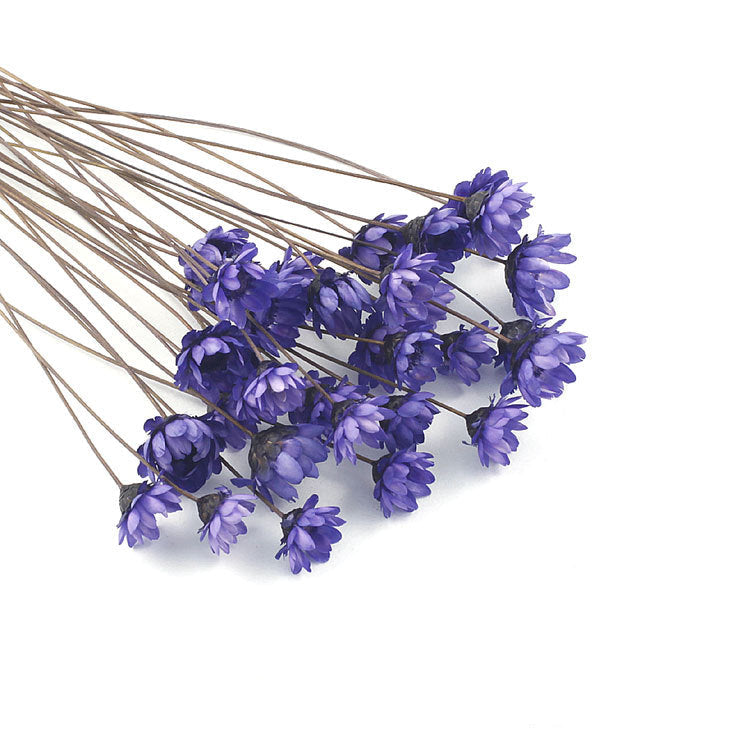 Wholesale small star flower dried flower Mini small Daisy wild chrysanthemum crystal glue drop handmade diy making filling material accessories