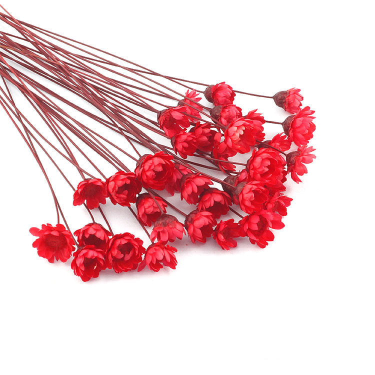 Wholesale small star flower dried flower Mini small Daisy wild chrysanthemum crystal glue drop handmade diy making filling material accessories