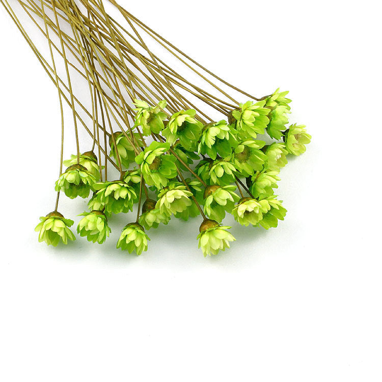 Wholesale small star flower dried flower Mini small Daisy wild chrysanthemum crystal glue drop handmade diy making filling material accessories