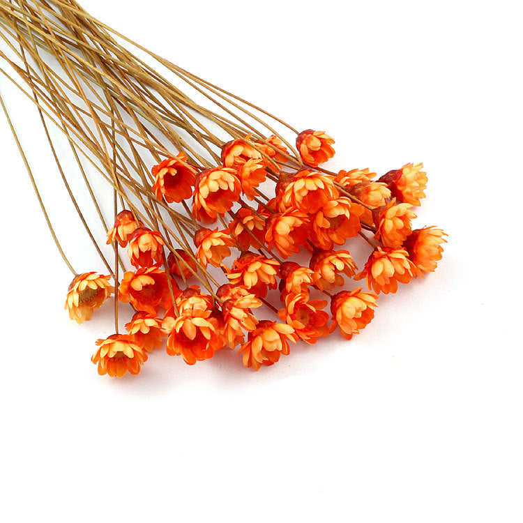 Wholesale small star flower dried flower Mini small Daisy wild chrysanthemum crystal glue drop handmade diy making filling material accessories