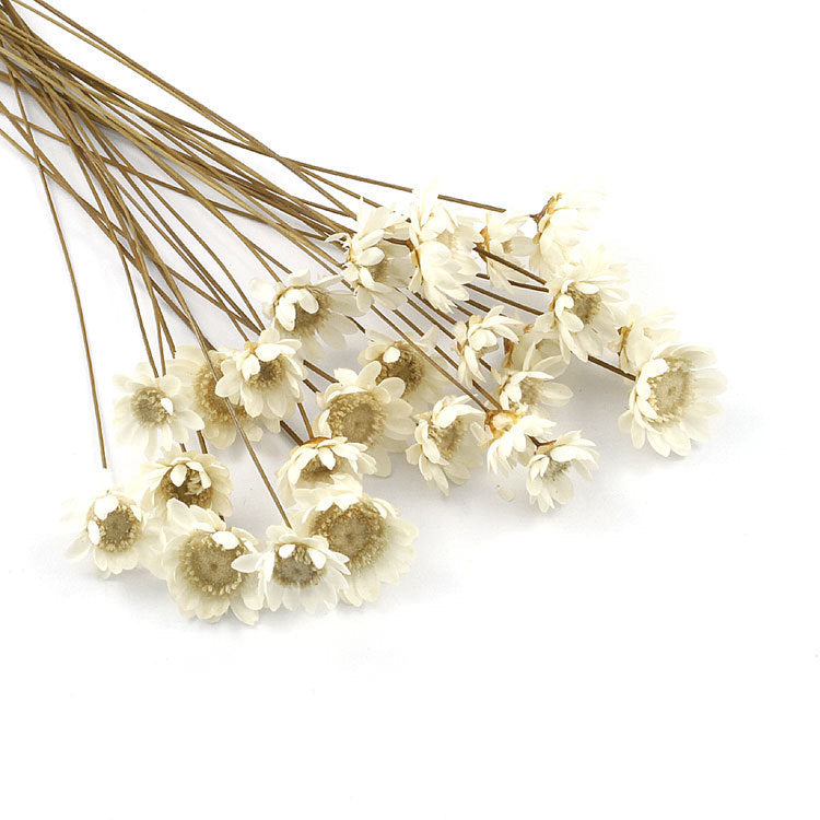 Wholesale small star flower dried flower Mini small Daisy wild chrysanthemum crystal glue drop handmade diy making filling material accessories