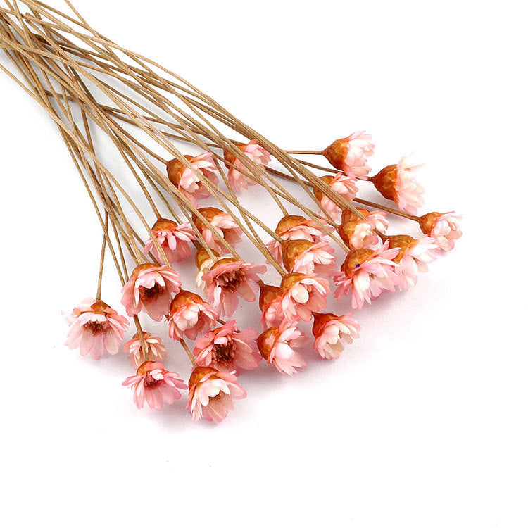 Wholesale small star flower dried flower Mini small Daisy wild chrysanthemum crystal glue drop handmade diy making filling material accessories