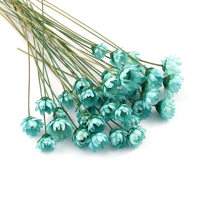 Wholesale small star flower dried flower Mini small Daisy wild chrysanthemum crystal glue drop handmade diy making filling material accessories