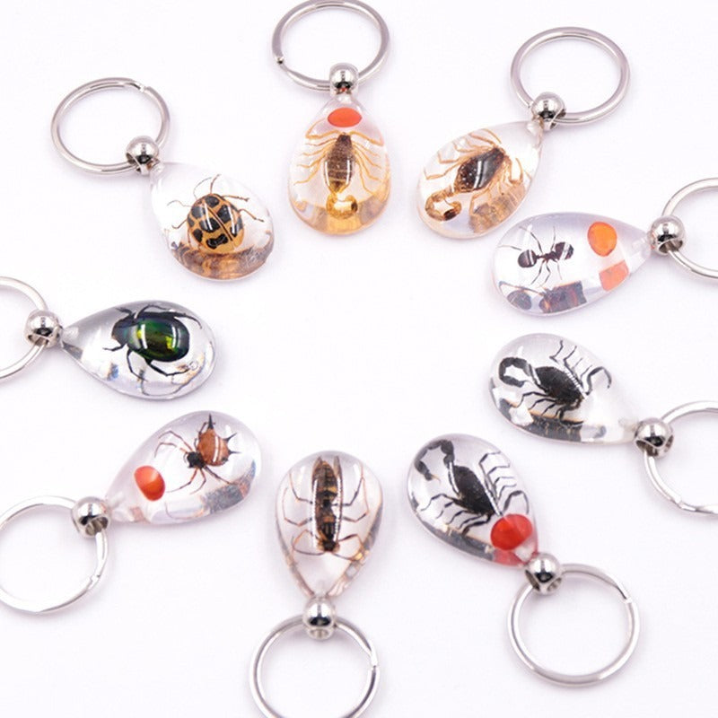 Wholesale 6pcs Resin Insect Specimen Transparent Glue Keychain