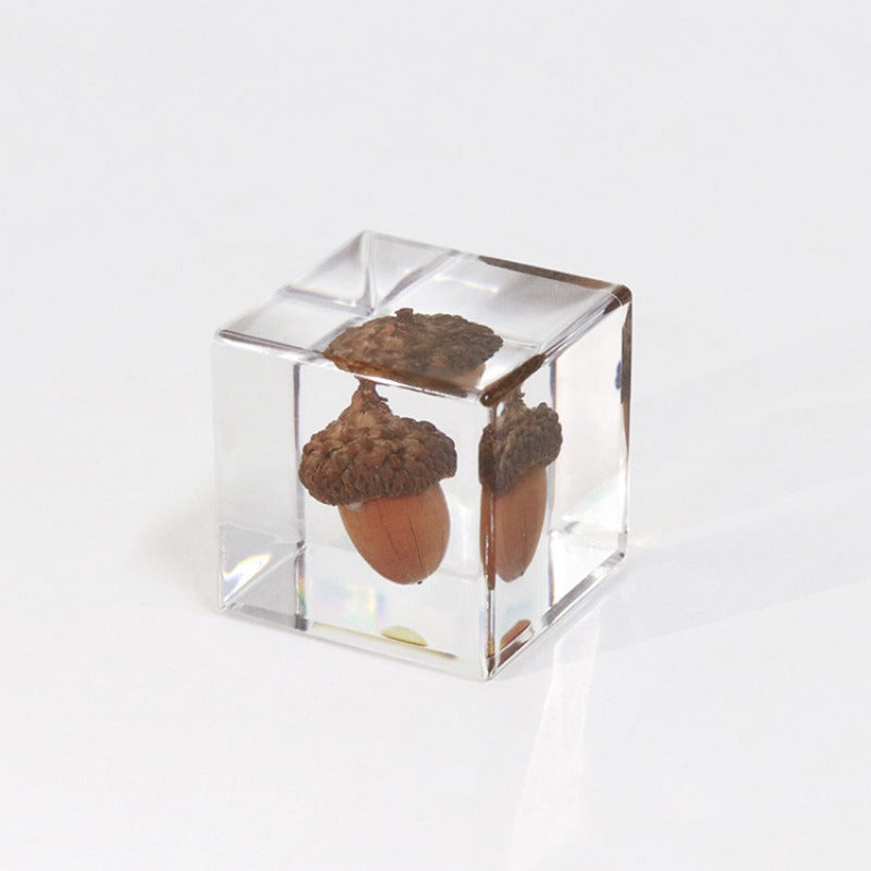 Wholesale 6pcs Acorn Paperweight Desktop Crafts Ornaments
