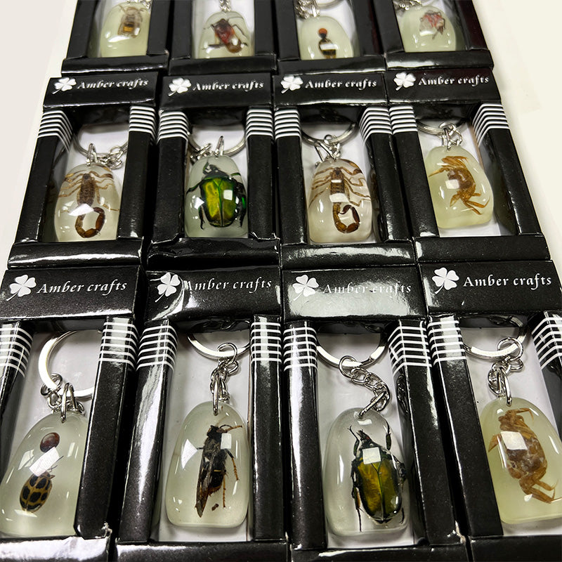 Wholesale 12pcs/pack Insect Specimens Keychain Set