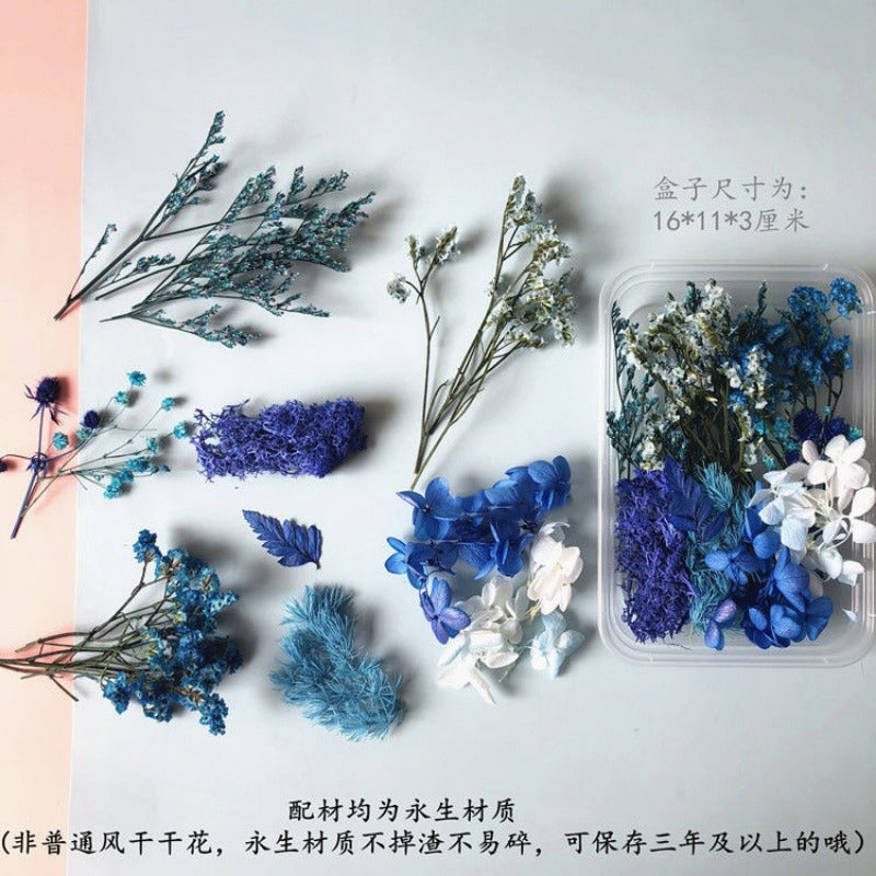 Wholesale Eternal Flower Baby's Breath Daisy Dried Flower Floating Flower Pressed Flower Kindergarten Handmade Flower Art Diy Filling Material