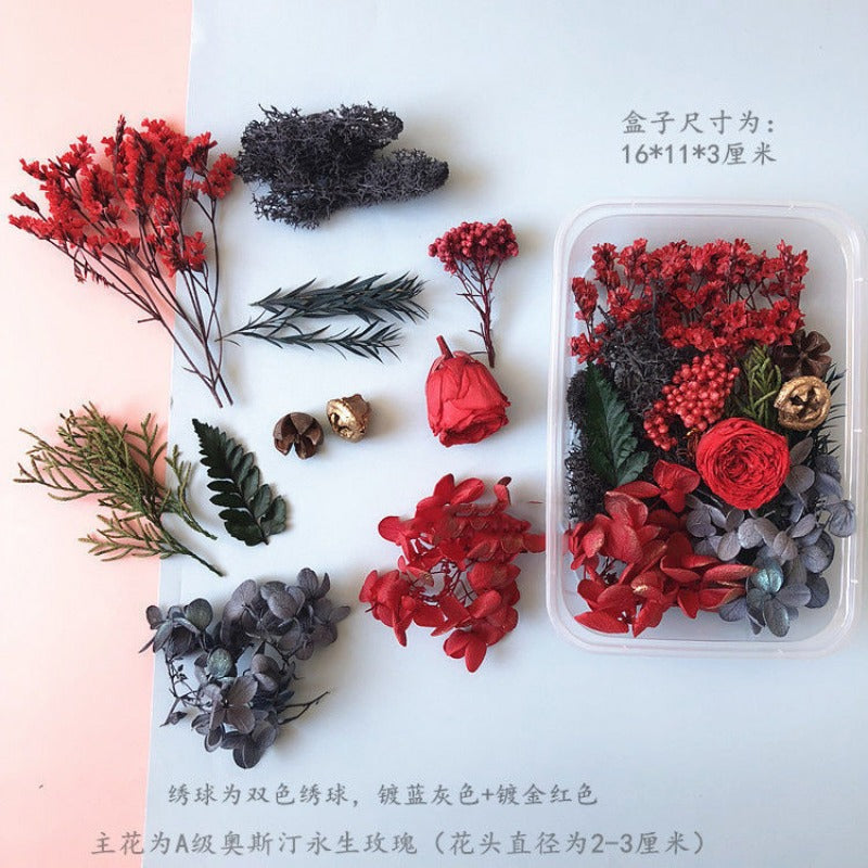 Wholesale Eternal Flower Baby's Breath Daisy Dried Flower Floating Flower Pressed Flower Kindergarten Handmade Flower Art Diy Filling Material