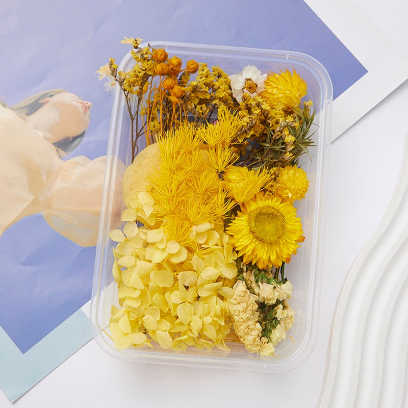 Wholesale DIY Handmade Mixed Dried Flowers Boxed Material Package Real Flowers Natural Air-dried Decorative Ornaments Dripping Glue Flower Material